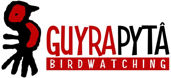 GUYRAPITA