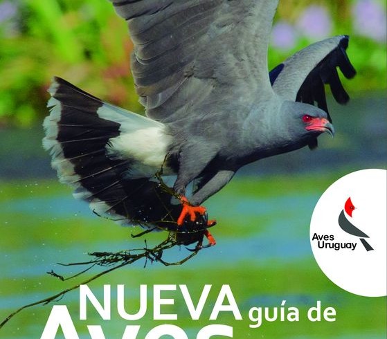 Nueva Guía de Aves en el Uruguay