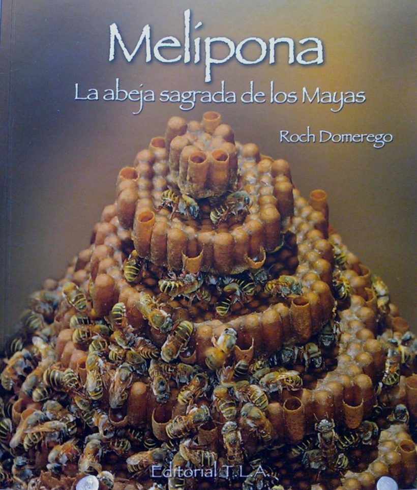 Melípona, la abeja sagrada de los Mayas
