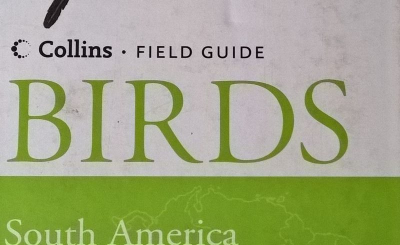 Field Guide Birds South America