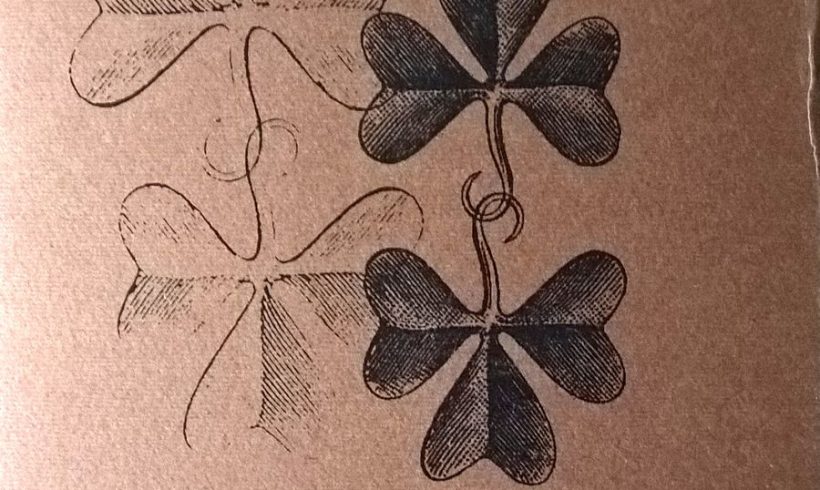 Materia Médica Misionera