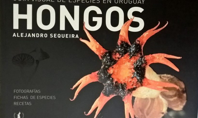 Hongos