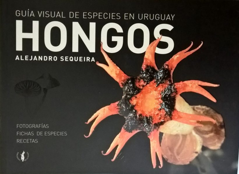 Hongos